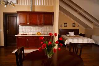 Апарт-отели Hotel Iosefin Residence Тимишоара Стандартные апартаменты с 1 спальней-18